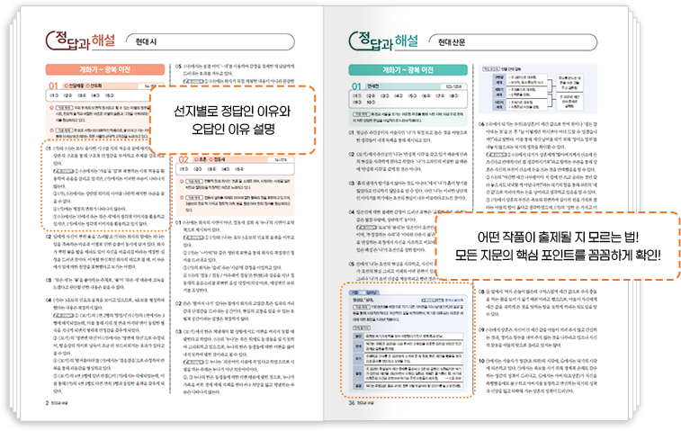 선지별로 정답인 이유와 오답인 이유 설명, 어떤 작품이 출제될 지 모르는 법! 모든 지문의 핵심 포인트를 꼼꼼하게 확인!